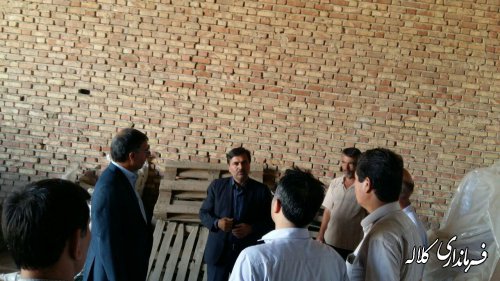 بازدید فرماندار کلاله از شرکت دانه های روغنی شهرستان