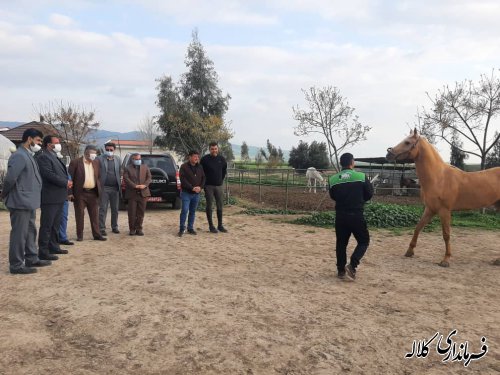 جشنواره فرهنگ و اقتصاد بر پایه توسعه روستایی در سطح استان اجرا می شود