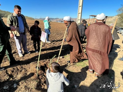 ۲۵۰ اصله نهال زیتون به یاد شهدای فلسطینی در کلاله غرس شد