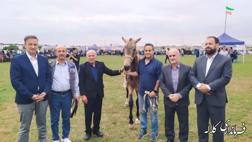 برگزاری جشنواره ملی فرهنگی، ورزشی، زیبایی اسب اصیل ترکمن در روستای صوفیان