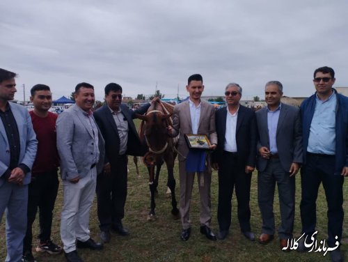 برگزاری جشنواره ملی فرهنگی، ورزشی، زیبایی اسب اصیل ترکمن در روستای صوفیان