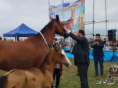 برگزاری جشنواره ملی فرهنگی، ورزشی، زیبایی اسب اصیل ترکمن در روستای صوفیان