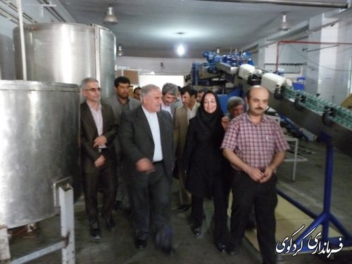 بازدید دکتر صادقلو از کارخانه عالیا کردکوی