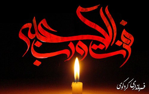 زندگينامه امام علي (ع)