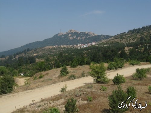 جمالی: دهیاران و شوراهای اسلامی به عنوان جهاد گران واقعی هستند