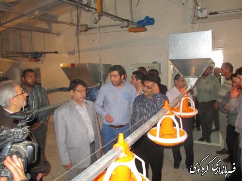 مراسم افتتاح متمرکز پروژه  های عمرانی، اقتصادی، کلنگ زنی و اشتغالزا یی  شهرستان کردکوی/تصویری