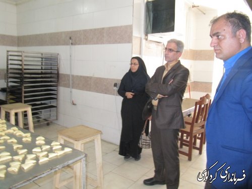 فرماندار کردکوی از چند شرکت  تعاونی بازدید کرد