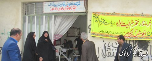 فرماندار کردکوی از چند شرکت  تعاونی بازدید کرد
