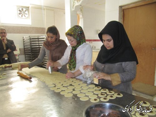 فرماندار کردکوی از چند شرکت  تعاونی بازدید کرد