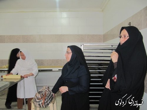 فرماندار کردکوی از چند شرکت  تعاونی بازدید کرد