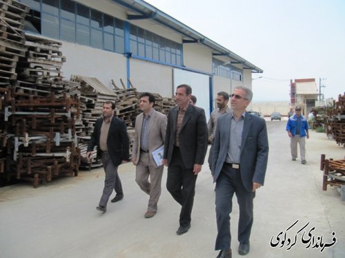 بازدید فرماندار از شرکت بسته بندی میگو درکردکوی /تصویری