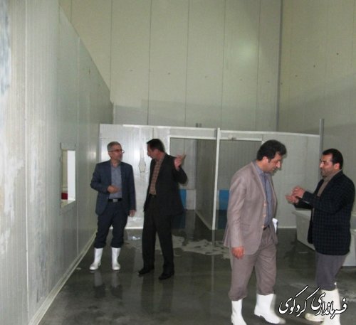 بازدید فرماندار از شرکت بسته بندی میگو درکردکوی /تصویری