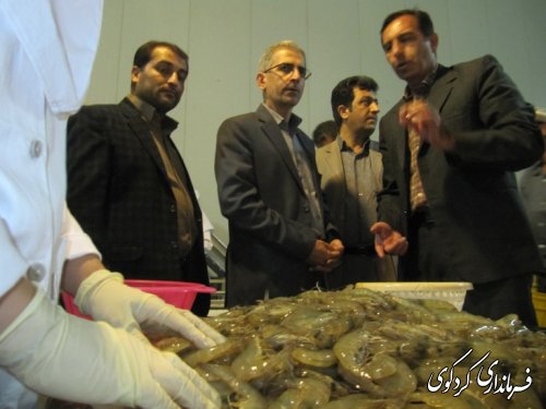 بازدید فرماندار از شرکت بسته بندی میگو درکردکوی /تصویری