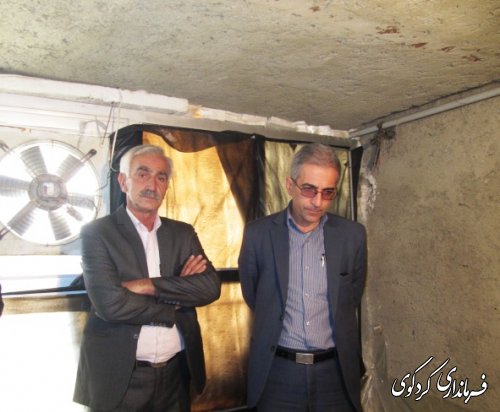 بازدید فرماندار از طرح کارآفرین شهرستان