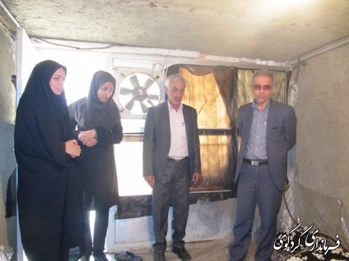 بازدید فرماندار از طرح کارآفرین شهرستان