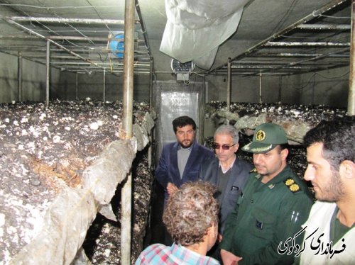 بازدید فرماندار از طرحهای بسیج سازندگی شهرستان
