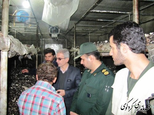 بازدید فرماندار از طرحهای بسیج سازندگی شهرستان
