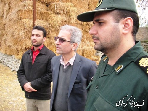 بازدید فرماندار از طرحهای بسیج سازندگی شهرستان