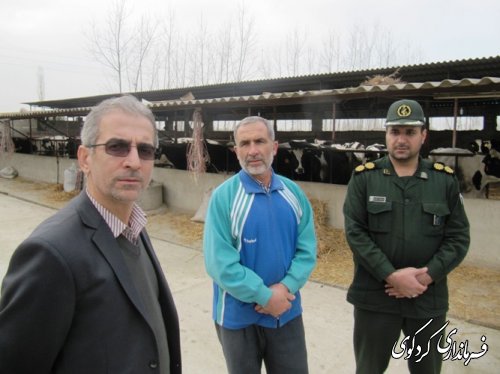 بازدید فرماندار از طرحهای بسیج سازندگی شهرستان