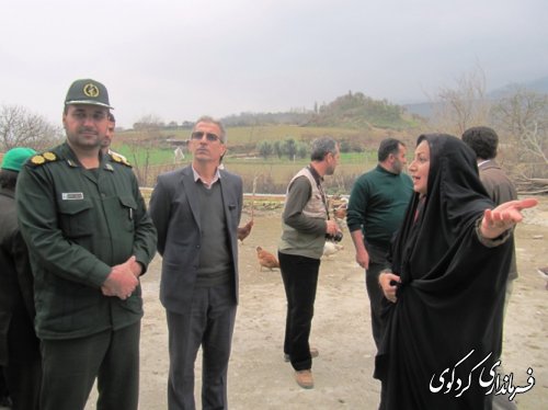 بازدید فرماندار از طرحهای بسیج سازندگی شهرستان