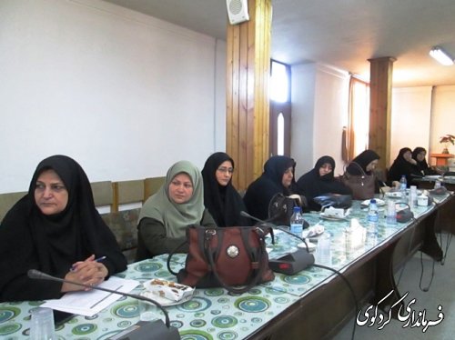 جلسه هماهنگی اعضای کار گروه بانوان برای سالگرد پیروزی انقلاب اسلامی