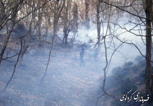 آتش سوزی گسترده در چندین نقطه از مناطق جنگلی کردکوی با همیاری نیروهای مردمی و بسیج مهار گردید