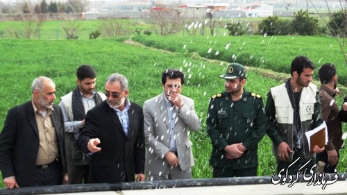 با حضور معاون فرماندار یک واحد پرورش ماهی قزل آلا به بهره برداری رسید