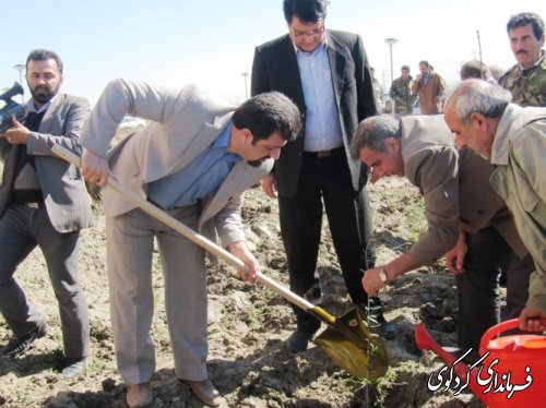 به دست خود درختی می نشانیم