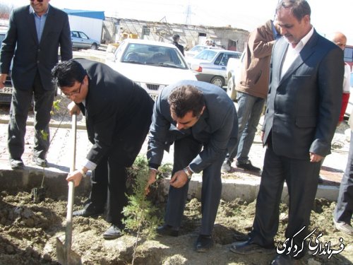 به دست خود درختی می نشانیم