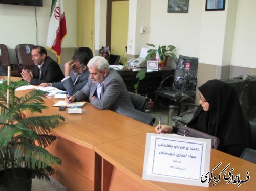 احمدی: ریشه کن کردن بی سوادی نیازمند همکاری همه دستگاههای اجرایی است