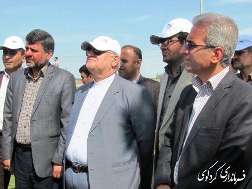 بازدید استاندار از طرح کشاورزی " انتخاب مشارکتی ارقام گندم آبی استان" در شهرستان کردکوی