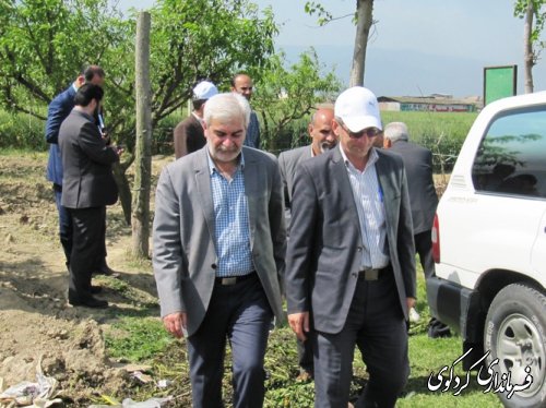 بازدید استاندار از طرح کشاورزی " انتخاب مشارکتی ارقام گندم آبی استان" در شهرستان کردکوی
