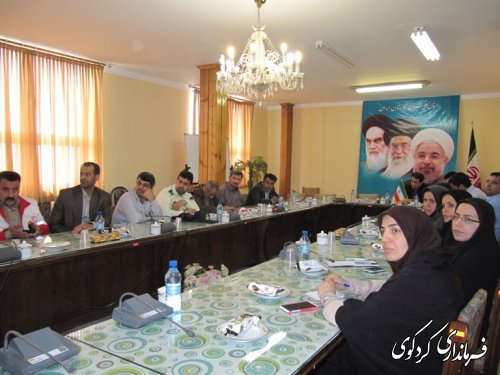 دومین جلسه کارگروه اجتماعی  پیشگیری از خودکشی در فرمانداری برگزار شد