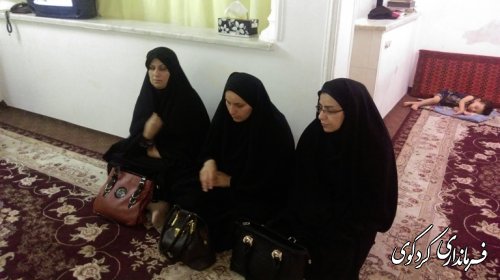 دیدار ازخانواده های جانبازان و ایثارگران شهرستان با حضور معاون فرماندار