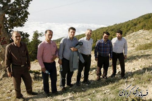 بازدید از طرح های سرمایه گذاری و گردشگری شهرستان کردکوی