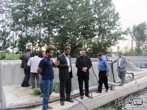 بازدید بخشدار از پروژه پرورش ماهی در روستای ایلوار