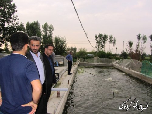 بازدید بخشدار از پروژه پرورش ماهی در روستای ایلوار