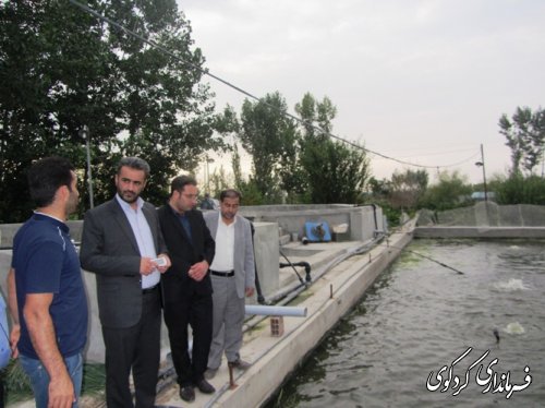 بازدید بخشدار از پروژه پرورش ماهی در روستای ایلوار