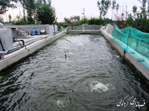 بازدید بخشدار از پروژه پرورش ماهی در روستای ایلوار