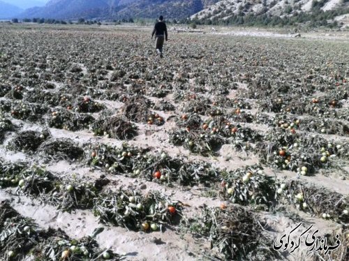 خسارات ناشی از بارندگی شدید در کردکوی