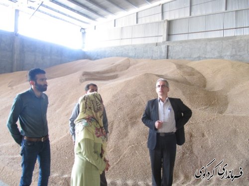 فرماندار از کارخانه آرد ستایش کردکوی بازدیدکرد