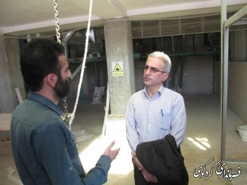 فرماندار از کارخانه آرد ستایش کردکوی بازدیدکرد