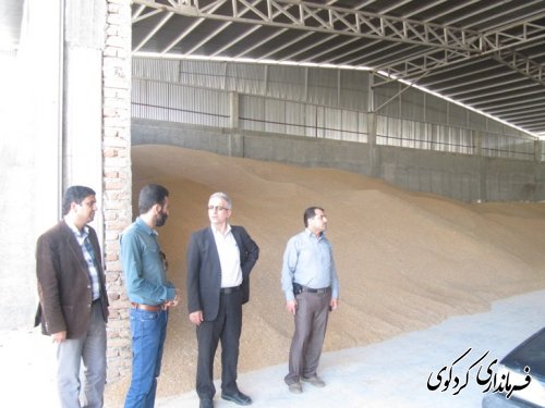 فرماندار از کارخانه آرد ستایش کردکوی بازدیدکرد