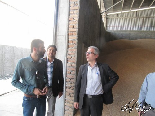 فرماندار از کارخانه آرد ستایش کردکوی بازدیدکرد