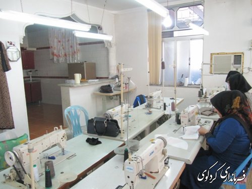 دیدار رییس و کارکنان اداره تعاون و کار و رفاه اجتماعی با فرماندارکردکوی