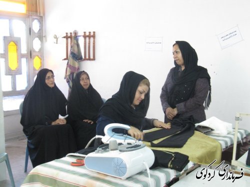 دیدار رییس و کارکنان اداره تعاون و کار و رفاه اجتماعی با فرماندارکردکوی