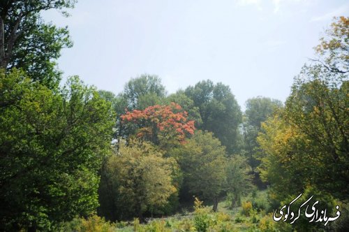 تور یک روزه اصحاب رسانه و خبرنگاران در کردکوی برگزار گردید