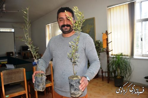 بازدید سرزده فرمانداراز  مدیریت جهاد کشاورزی کردکوی