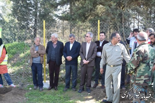 در هفته طبیعت: غرص نهال توسط اعضای شورای اداری شهرستان