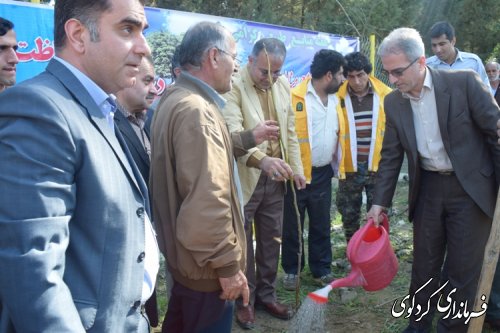 در هفته طبیعت: غرص نهال توسط اعضای شورای اداری شهرستان